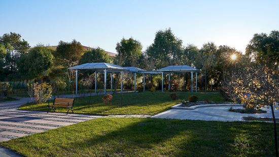 Outdoor garden